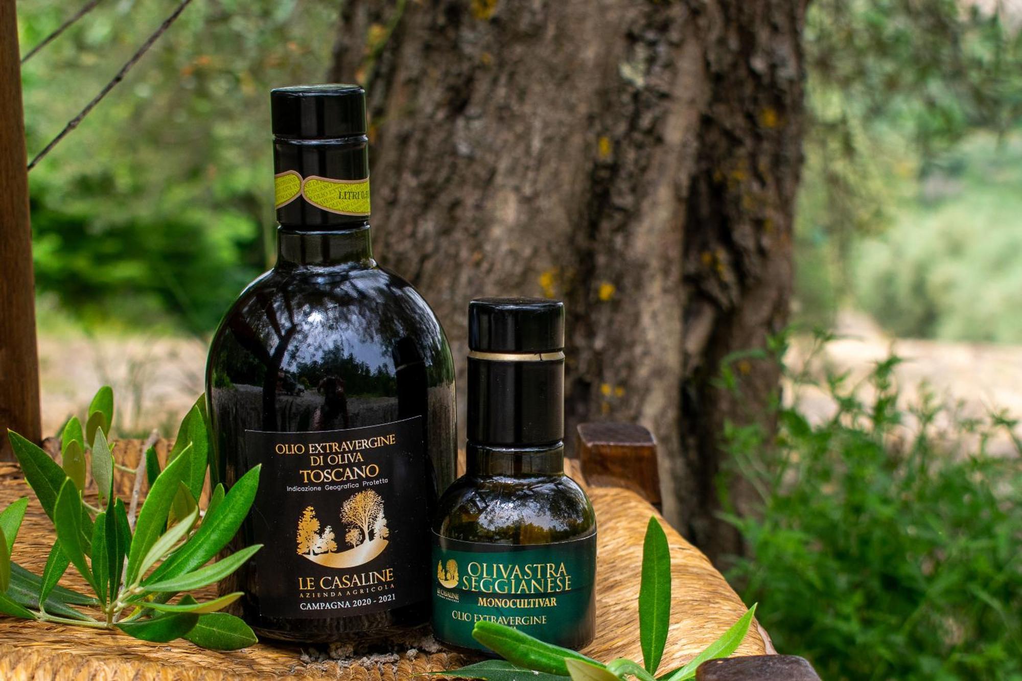 Agriturismo Le Casaline 세지아노 외부 사진