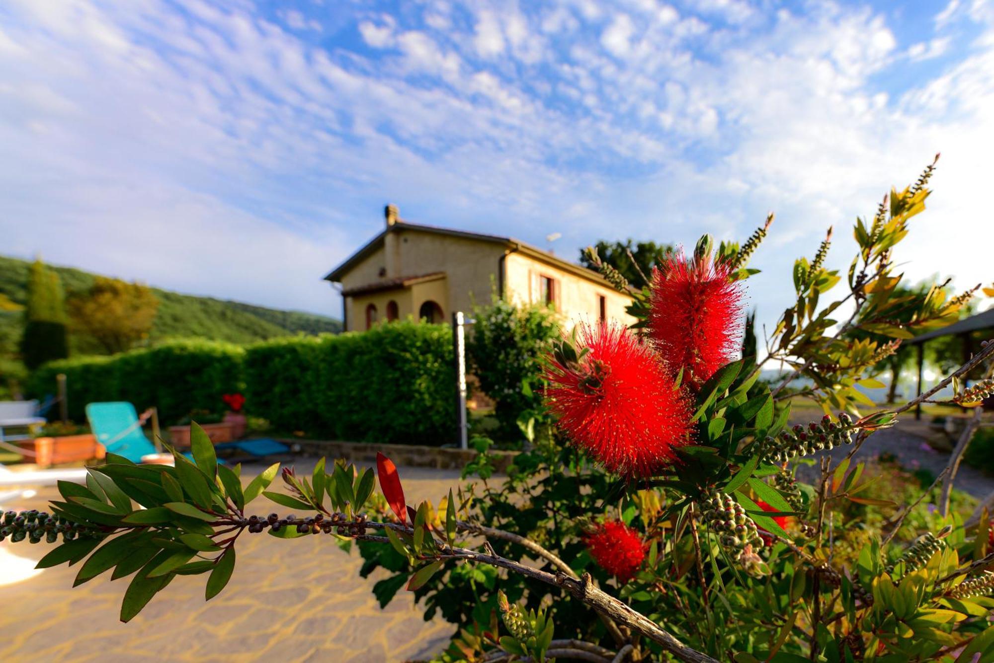 Agriturismo Le Casaline 세지아노 외부 사진