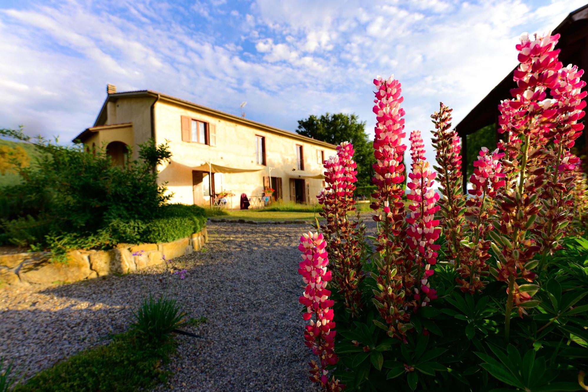 Agriturismo Le Casaline 세지아노 외부 사진