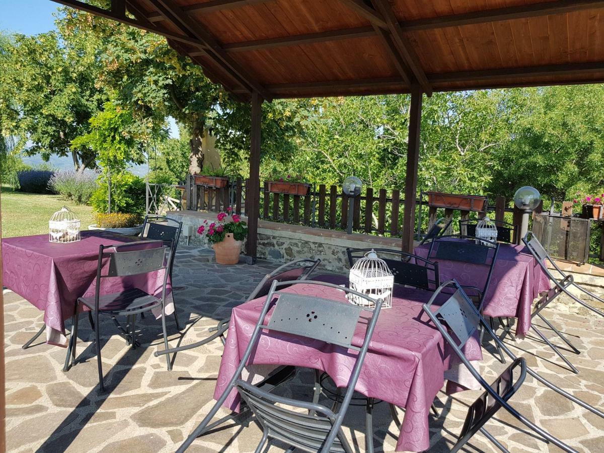 Agriturismo Le Casaline 세지아노 외부 사진