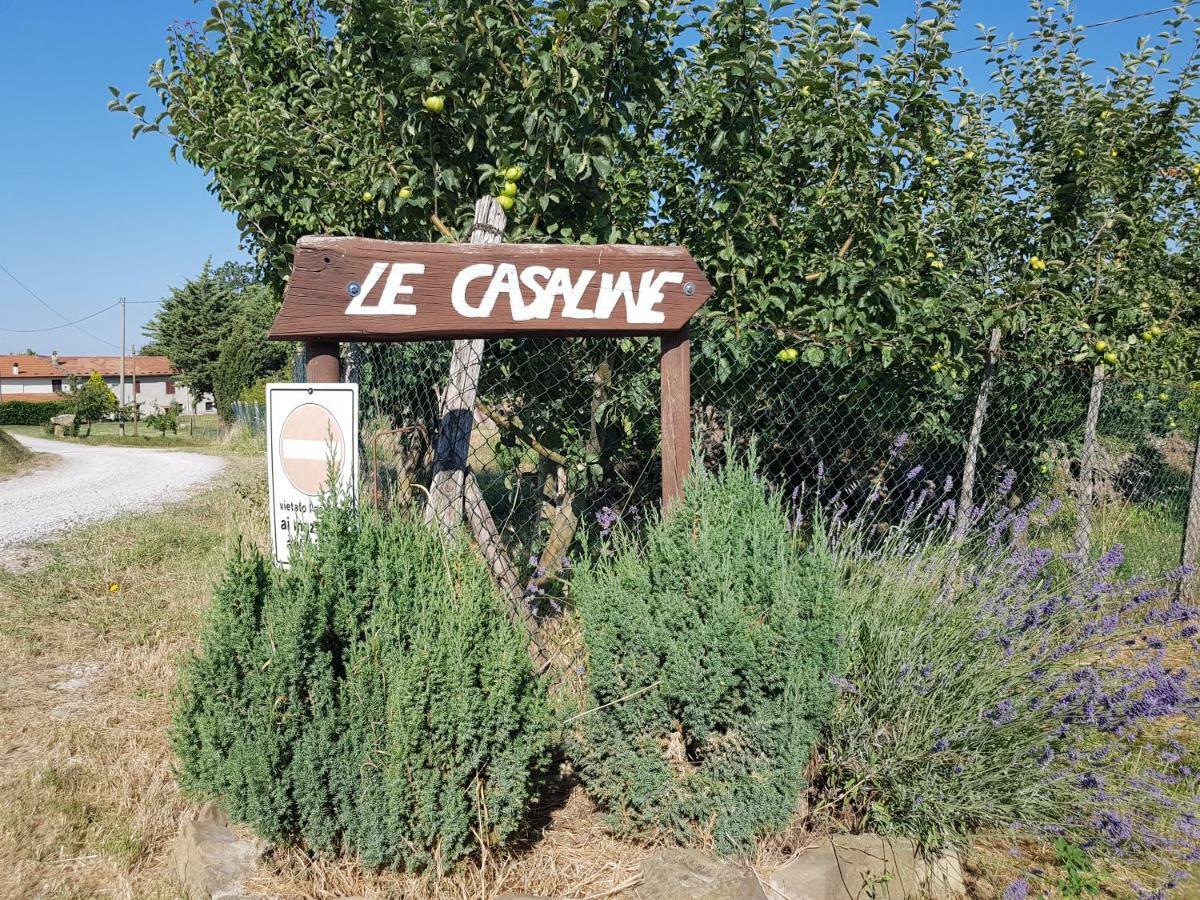 Agriturismo Le Casaline 세지아노 외부 사진